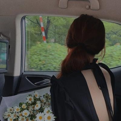 蒂科与鲨鱼